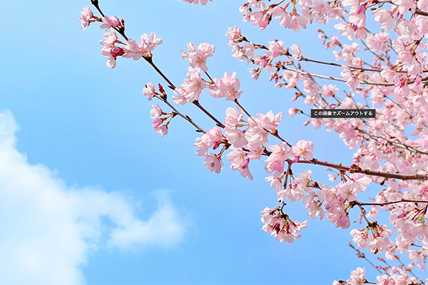 【お詫び】お客様へ